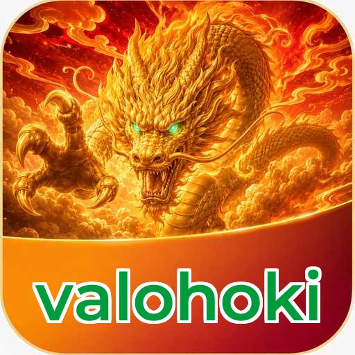 valohoki